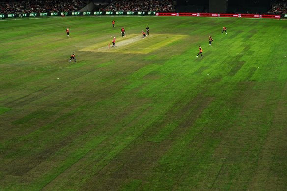 The outfield at Marvel Stadium on Monday night for the Big Bash match between the Renegades and Scorchers.