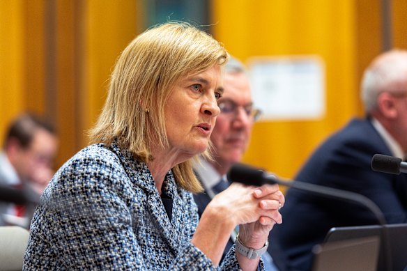 Sarah Court numa recente audiência parlamentar.