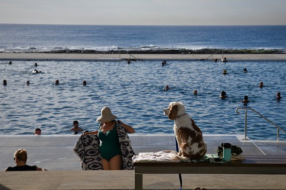 The ocean baths have been popular for generations of swimmers.