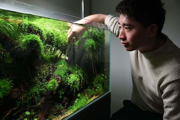 Aquascaping enthusiast Kevin Chuang.
