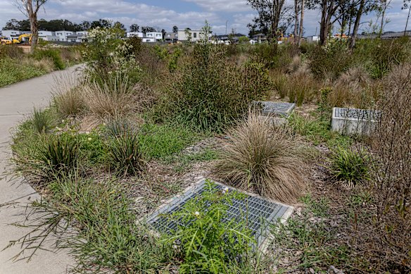 Drenos construídos na captação regional da Edmund Street em Grantham Farm. 