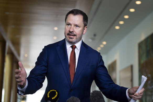 Industry Minister Ed Husic says tech giants such as Google, Microsoft and ChatGPT maker OpenAI need to work with the Australian government.