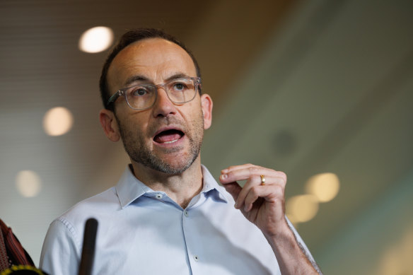 Greens leader Adam Bandt announcing he had struck a deal with the government to pass the climate legislation.