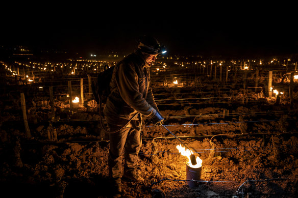 Winemakers in various regions of France lit candles between vines to warm them up in an effort to protect their crops from unusual late-night frosts this year.