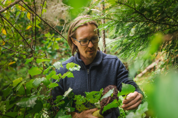 Go foraging with chef Asher Boote of Hillside Kitchen in Wellington.