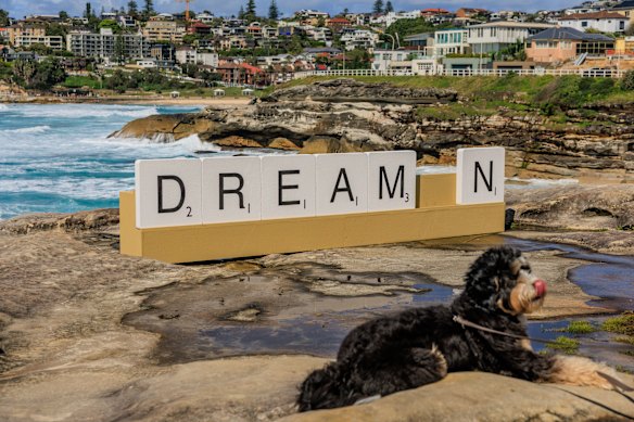 Emma Anna’s Dream_n.