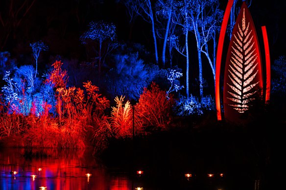 Illumina light show at Kingfisher Bay Resort on K’gari.