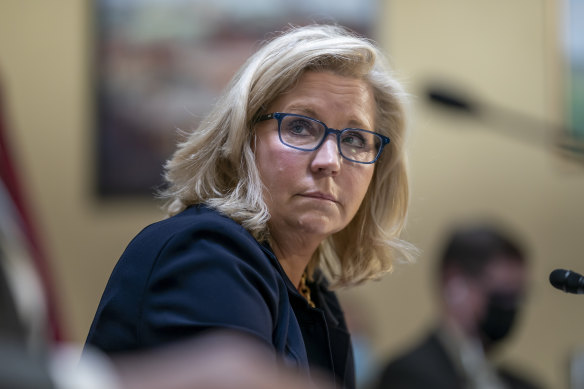 Wyoming congresswoman Liz Cheney, Republican royalty and daughter of former vice-president Dick Cheney, was called a RINO by Donald Trump (Republican in name only) for voting to impeach him. 