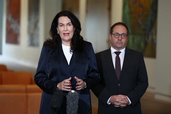 Senator Deborah O'Neil and Treasurer Daniel Mulino announced proposals that could lead to the breakup of the global consultancy giants' Australian operations at a press conference in Parliament House.