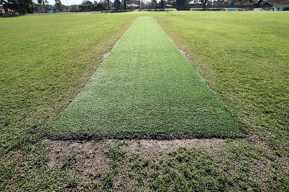 Lalor field.