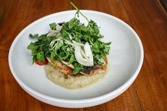 Barramundi fillet on a bed of roasted fennel at Three Blue Ducks, Tullamarine.