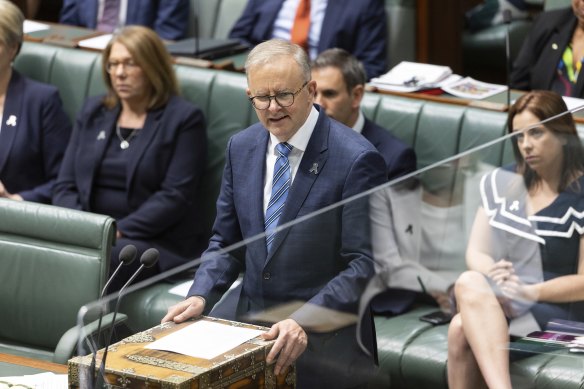 Prime Minister Anthony Albanese rejected claims the bill would  dampen investment.