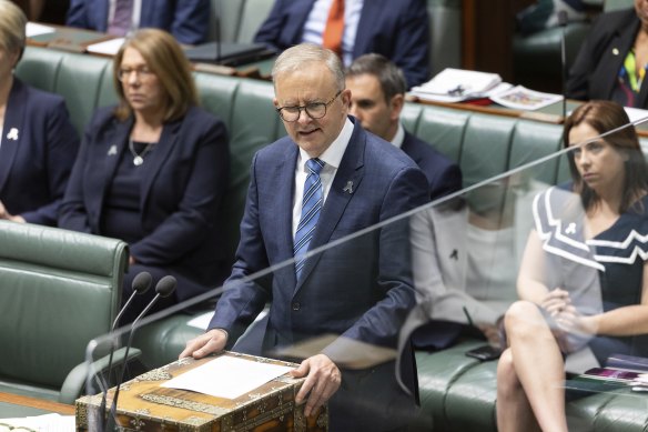 Prime Minister Anthony Albanese in parliament today.