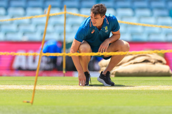 Australian captain Pat Cummins inspects the SCG pitch ahead of this year’s Test against the West Indies.