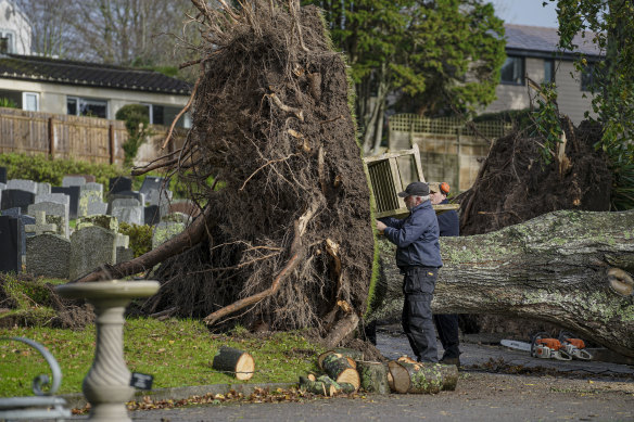 Council workers attempt to retrieve a memorial bench from the ground where two mature trees stood before storm Ciaran in Falmouth, Cornwall, England. 