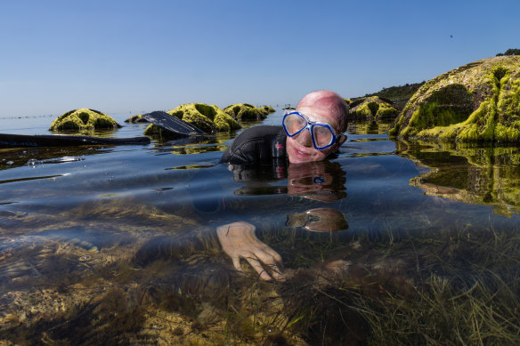 Environmental planner Ralph Roob says the Dell Eco Reef is helping to promote marine biodiversity. 