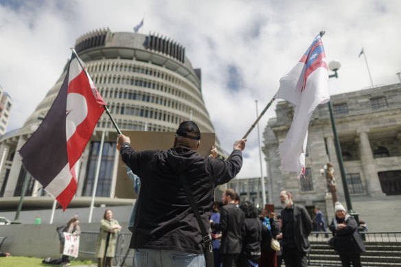 People protest the Treaty Principle Bill being introduced to the NZ parliament on Thursday.