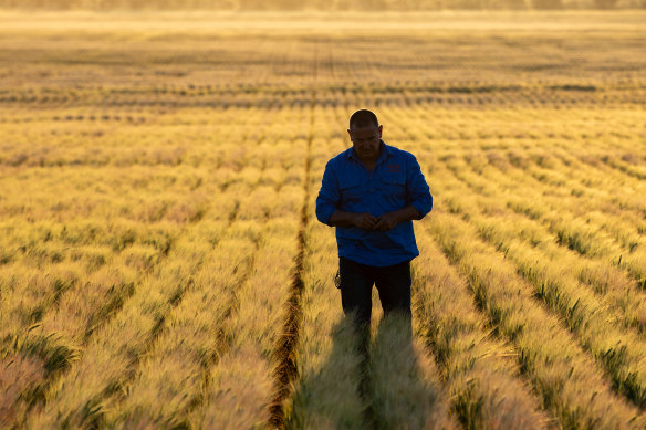 Tony Fox on his land. 