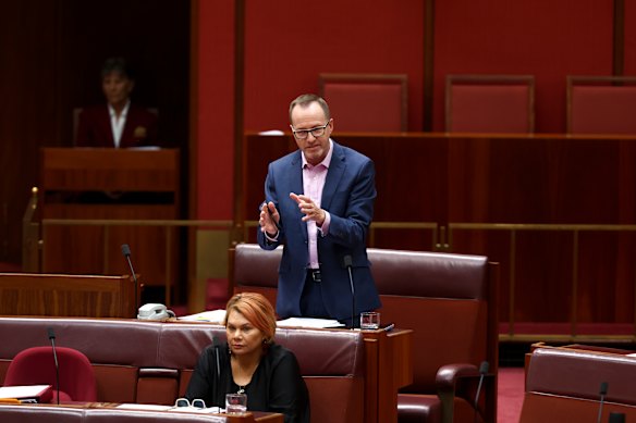 Greens senator David Shoebridge. 