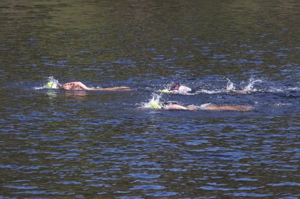 Swimmers marking the start of the 2019
Parramatta Riverfest.