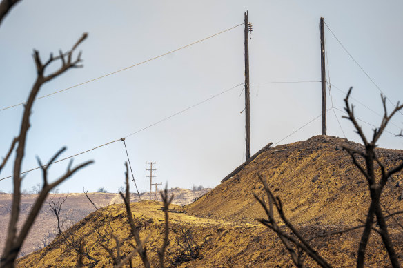 Utility poles on a scorched hillside in the Palisades on Friday.