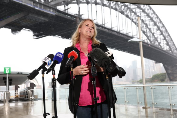 Member for North Sydney Kylea Tink speaks to the media on Friday.