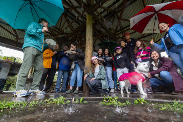 Paul Lim and his extended family at Westfield picnic spot in Yarra Bend Park.