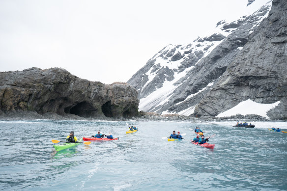 Kayakers paddle in for a closer view of the abundant sea life. A Zodiac waits nearby should anyone capsize in the freezing water.