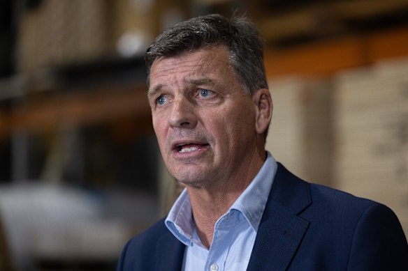 Opposition Leader Angus Taylor needs to tell Australia where the Liberal Party stands.