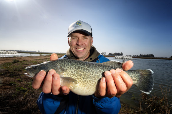 Aquna Sustainable Murray Cod managing director Mathew Ryan.