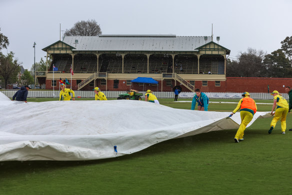 Team duties: Australian players help the ground staff keep the pitch dry.