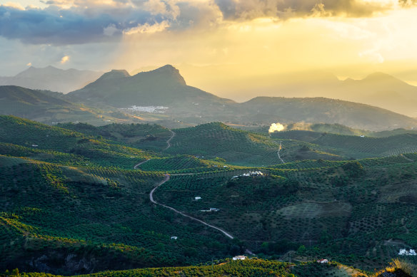 The trail cuts through the Grazalema Range.