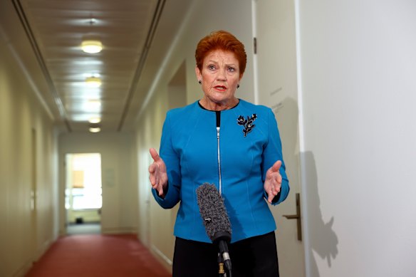 One Nation Leader Senator Pauline Hanson during a doorstop at Parliament House in Canberra.