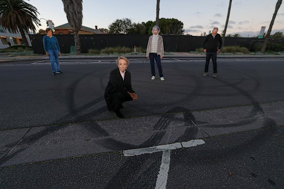 Julie Simpkin (left), Sitter, Brown and Luke Simpkin are part of a Port Melbourne community group pushing for action against hoon drivers in the area.