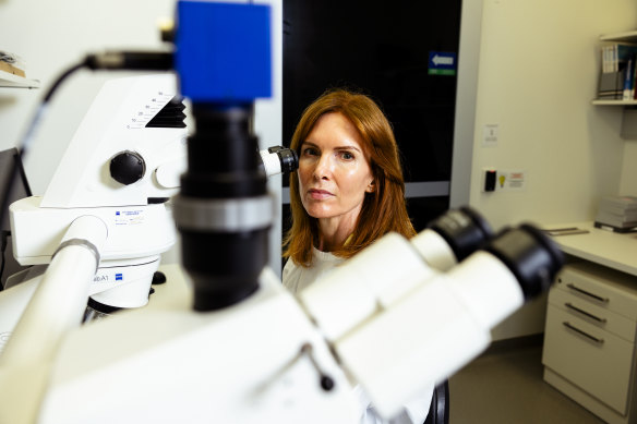 Dr Claire Shepherd reviews Chronic traumatic encephalopathy (CTE) in a section of brain tissue at the Sydney Brain Bank in Randwick