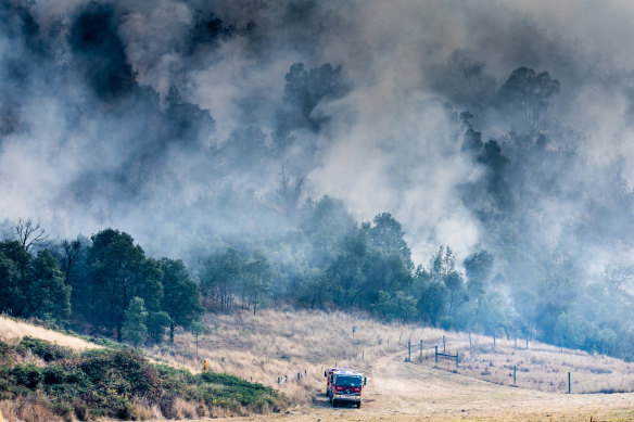 Firefighters battle the fire on Spring Valley Road in Flowerdale on Wednesday.