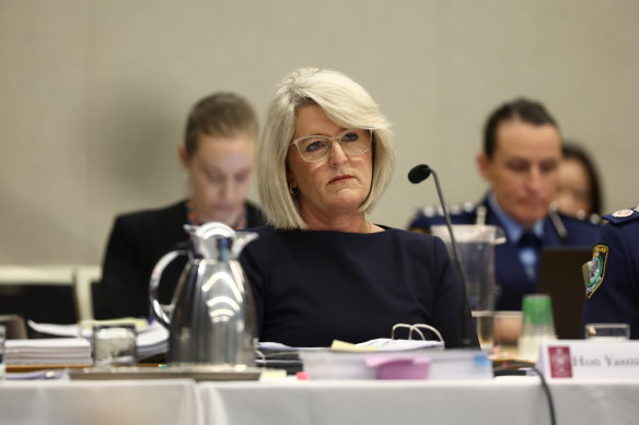 Police Minister Yasmin Catley has been under pressure to prohibit officers from strip-searching children.