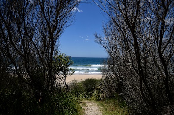 Kylies Beach and surrounding beaches will remain closed for at least 24 hours.
