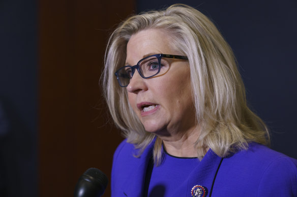 Backers in high places: Liz Cheney.