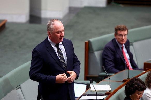 One Nation MP Barnaby Joyce in a previous sitting of question time. 