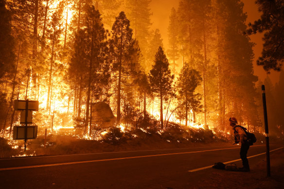 Gabe Huck, a member of a San Benito Monterey Cal Fire crew, stands along state Highway 168 while fighting the Creek Fire on Sunday, September 6 in Shaver Lake, California. 