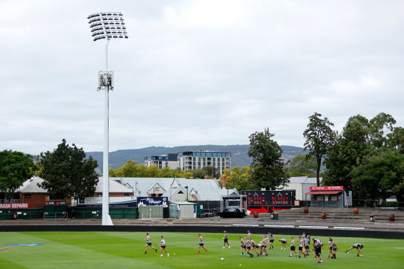 The Fremantle Dockers put the Norwood turf to the test.
