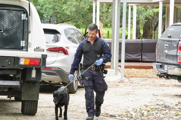Homicide detectives and police dogs were at the home of Erin Patterson on Thursday morning.