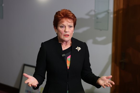 One Nation leader Senator Pauline Hanson during a press conference in the press gallery at Parliament House in Canberra today.