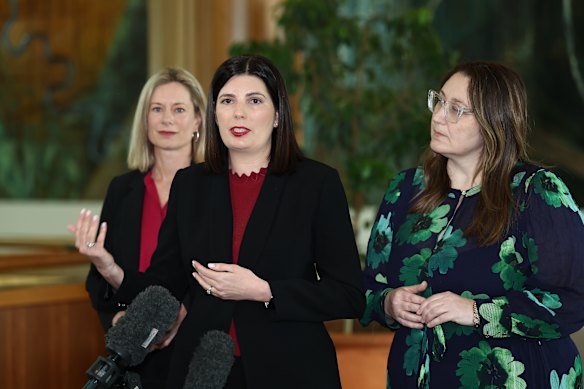 Senator Marielle Smith announced the inquiry into postpartum health in Canberra in August with Assistant Minister Rebecca White (left) and Emma McBride (right).