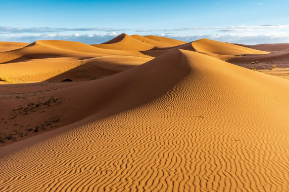 Sand dunes of Erg Chigaga.