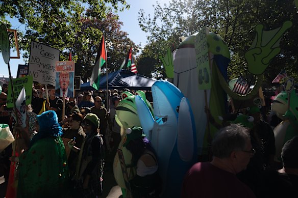 The outfits have become an absurd and enduring image of the protests.