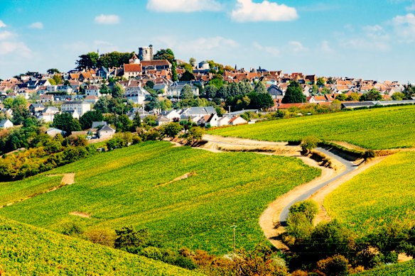 Colinas cobertas de vinhedos de Sancerre, França.