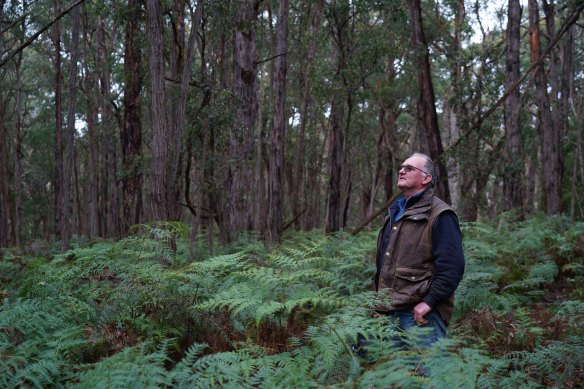 “Plain madness”: Kevin Heggen says logging in the Alberton forest is illogical.