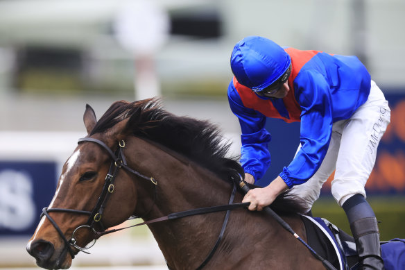 Zaaki is again a short-priced favourite for the Doomben Cup.